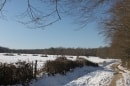 forêt de Montpensier, GR 463